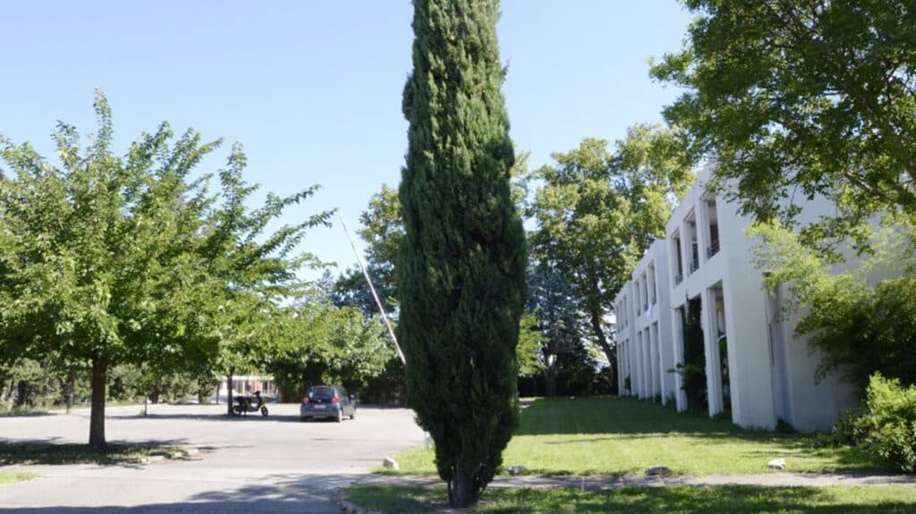 FH_Andre-Malraux_Jardin