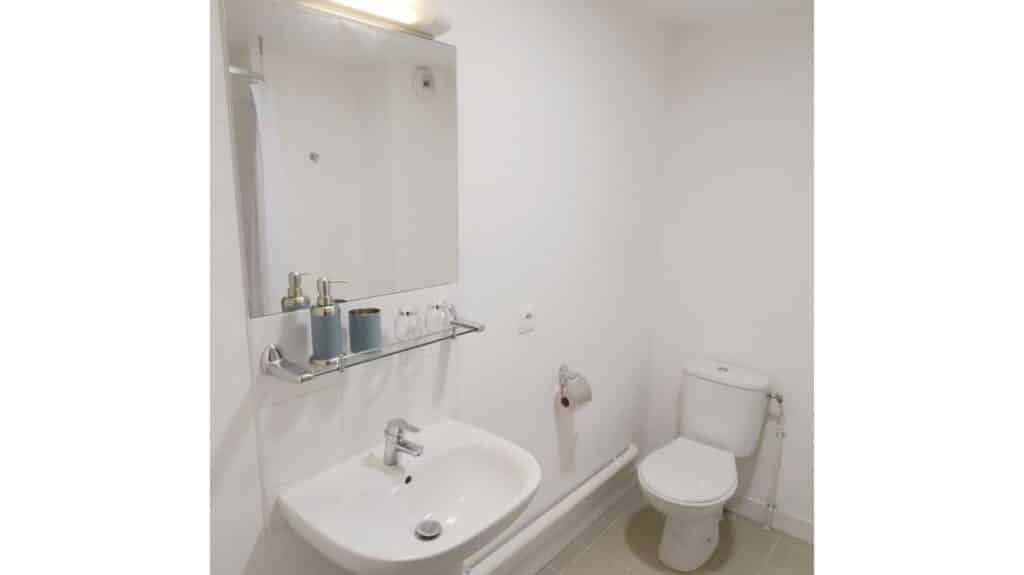 FH_Claude-Monet_Toilettes