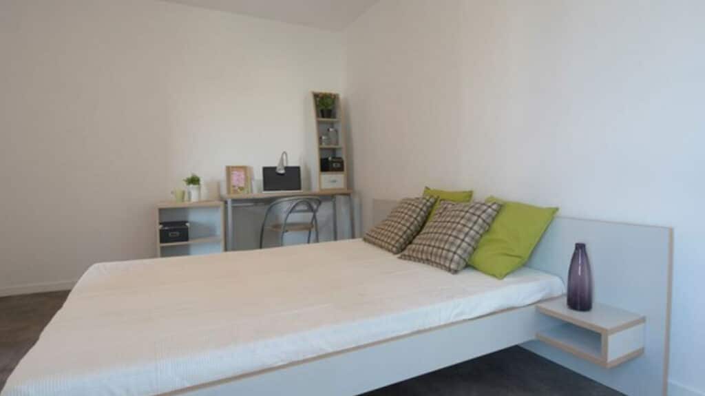 FH_Georges-Mathe_Lit