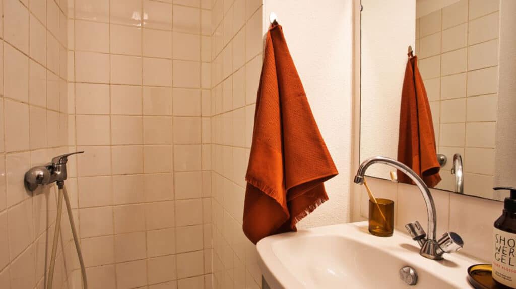 FH_Les-Sevillanes_Douche