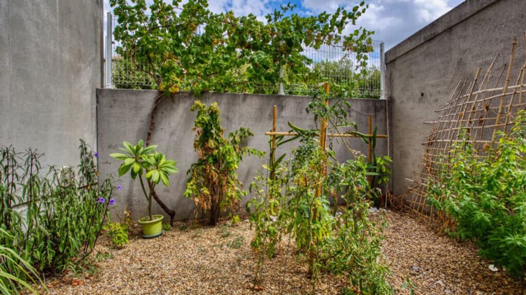 FH_Les-Sevillanes_Jardin