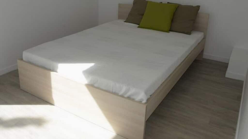 FH_Nelson-Mandela_Lit