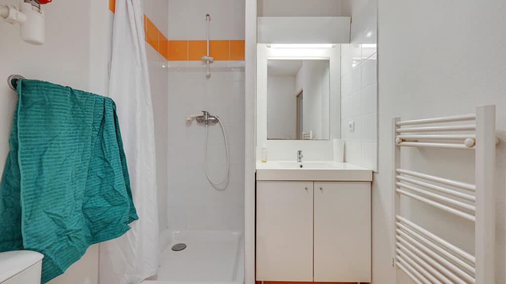 Logifac_Virgile_Douc